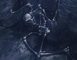 /pliki/zdjecia/egg4 (1).jpg